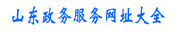 山东政务服务网址大全